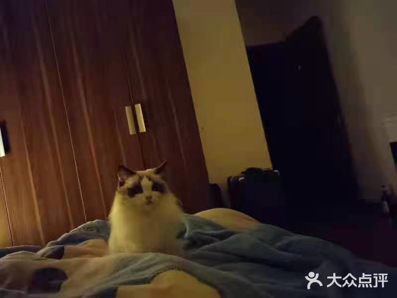 每次都看它一脸享受的样子，哈