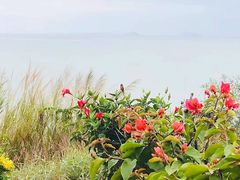 -碧桂园十里银滩