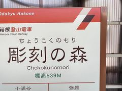 -雕刻之森美术馆