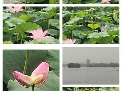 -济南大明湖景区