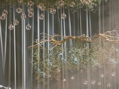 -天泰宾馆婚宴·宴会厅·婚礼堂