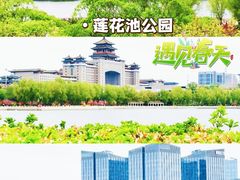 -莲花池公园