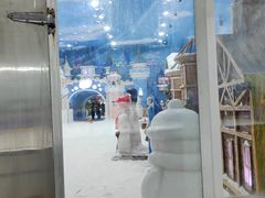 -世界之窗阿尔卑斯冰雪世界