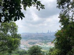 -火炉山森林公园