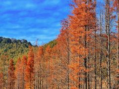 -广州市石门国家森林公园