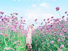 -上海杨姆庄园