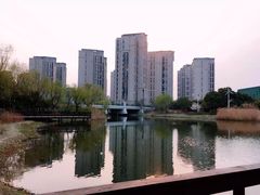 -新江湾城公园