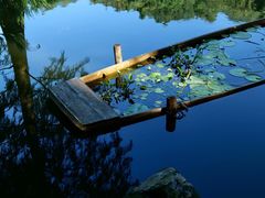 -深圳仙湖植物园