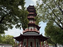 -绳金塔