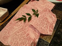 -然锅料理