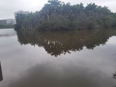 -聚龙山公园