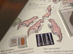 -香港科学馆
