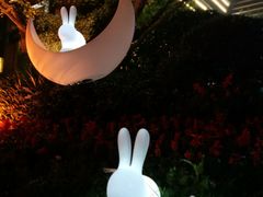 -青城道汤池