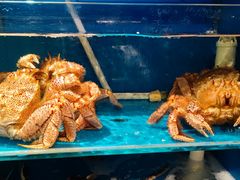 -蟹田居·活蟹料理(东城店)