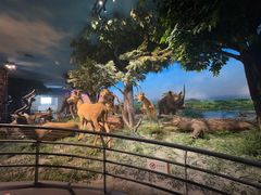 -国家自然博物馆