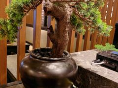 -湊湊火锅·茶憩(和平大悦城店)