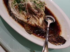 -苔圣园酒家(尊木汇国际艺术广场店)
