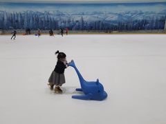 -世界之窗阿尔卑斯冰雪世界