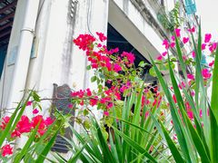 -海口骑楼老街历史文化街区