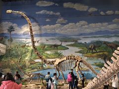-自贡恐龙博物馆