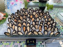 -渔家火锅·海鲜自助餐·演艺(亚龙湾天域酒店)