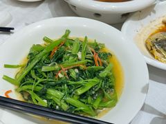 -锦粤宫·精致粤菜(深圳北站店)