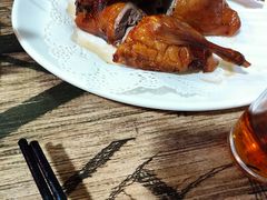 -东鸽皇(奥园·中环广场店)