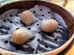 -鸡鸣汤包(红山动物园店)