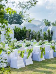 -觅糖派对·宝宝宴生日宴一站式派对策划(河西店)