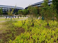 -上海滴水湖皇冠假日酒店