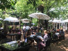 -Fern Forest Cafe