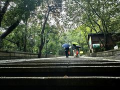 -灵岩山风景区