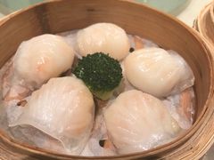 -陶陶居海鲜酒家(新马路店)