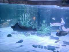 -沈阳海洋探索中心