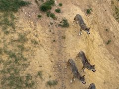 -鄂尔多斯野生动物园