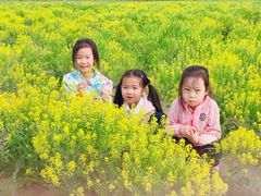 -天津武清北运河郊野公园房车露营地