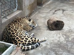 -西安秦岭野生动物园