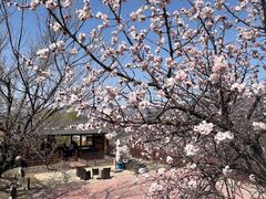 -潭柘厚院(桑峪村店)