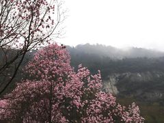 -九皇山景区