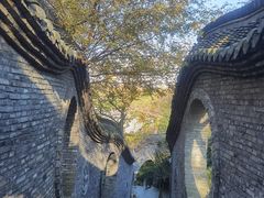 -朴园