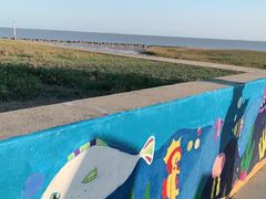 -南汇嘴观海公园