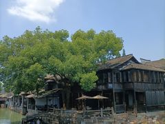 -乌镇东栅景区