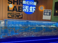 -0048鲜活香辣虾·火锅(铜陵路店)