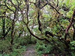 -海螺沟风景区
