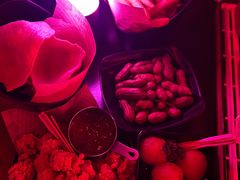 -MOSSO·Liveshow(M3香港广场店)