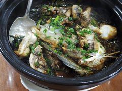 姜葱焗鲩鱼头-正宗高流河饭店原创风姜鸡