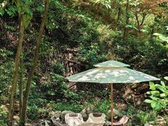 -北仑森林植物园