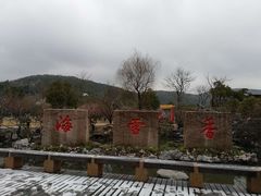 -香雪海