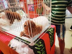 -禾斗海鲜自助(市南银座店)