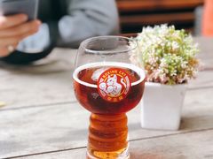 -Boxing Cat Brewery拳击猫精酿啤酒馆(永福店)